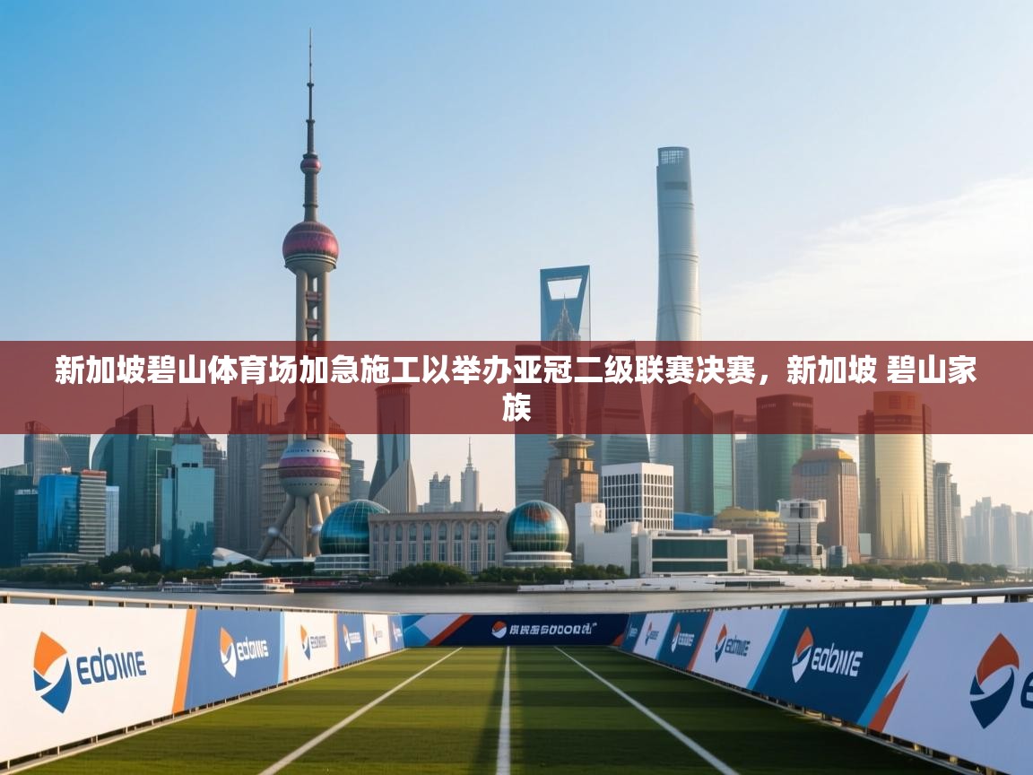 新加坡碧山体育场加急施工以举办亚冠二级联赛决赛,新加坡 碧山家族 第1张