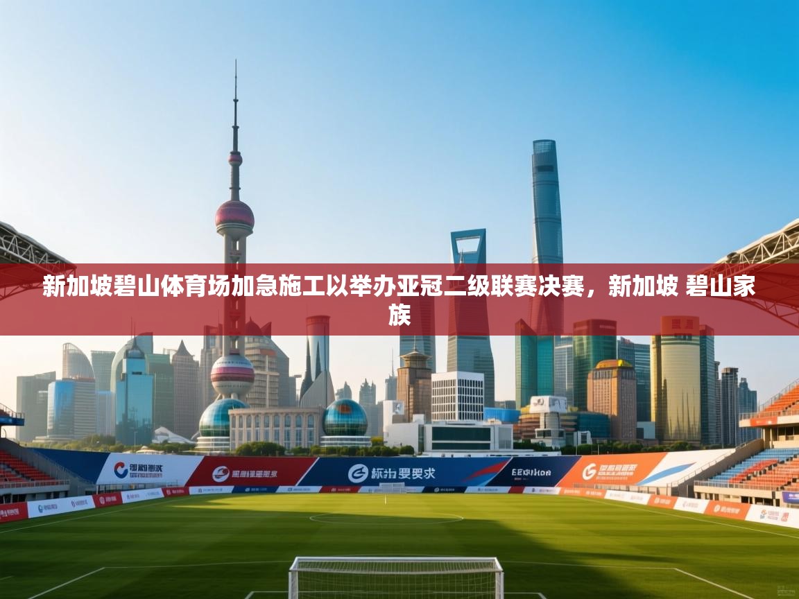 新加坡碧山体育场加急施工以举办亚冠二级联赛决赛,新加坡 碧山家族 第2张